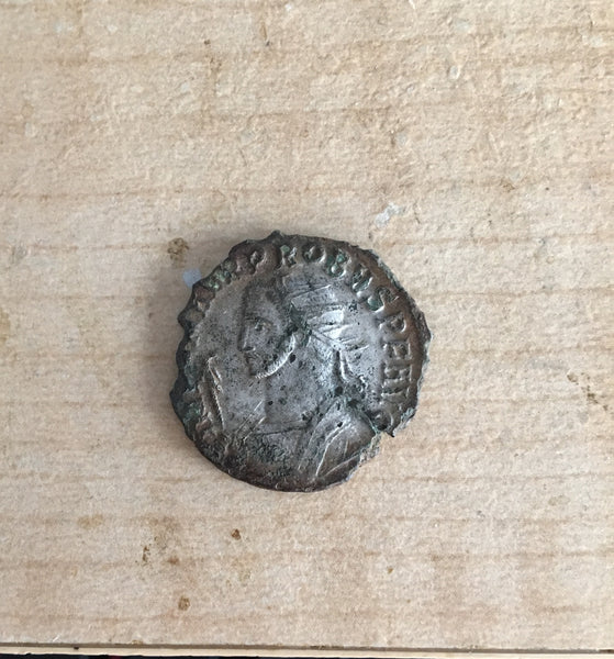 Probus-Antoninianus-www.nerocoins.com